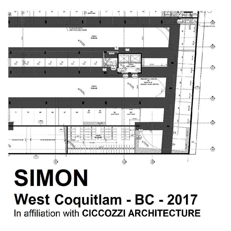 SIMON