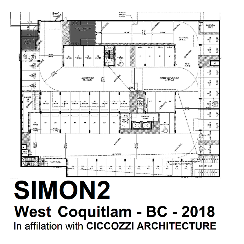 SIMON2
